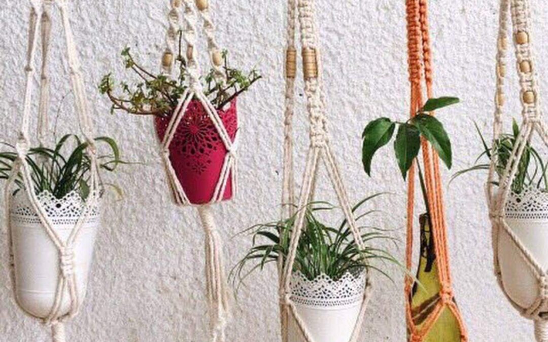 Macramé Plant Hanger | P2,200