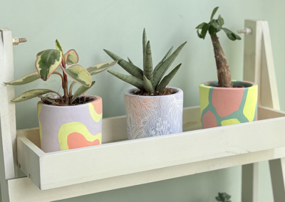 Paint and Plant | P1,400